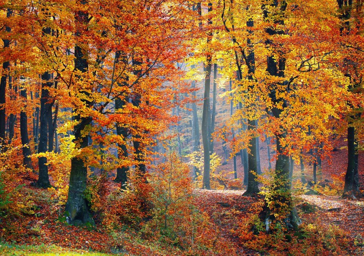 Legszebb őszi kirándulóhelyeink: ezeket az ékszerdobozokat látnod kel!