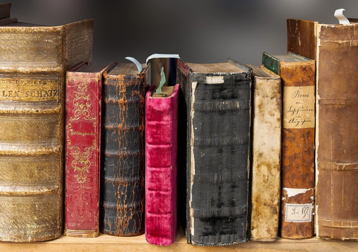 Heti menőség: könyvtárat alapítottak a kidobott könyvekből a kukások