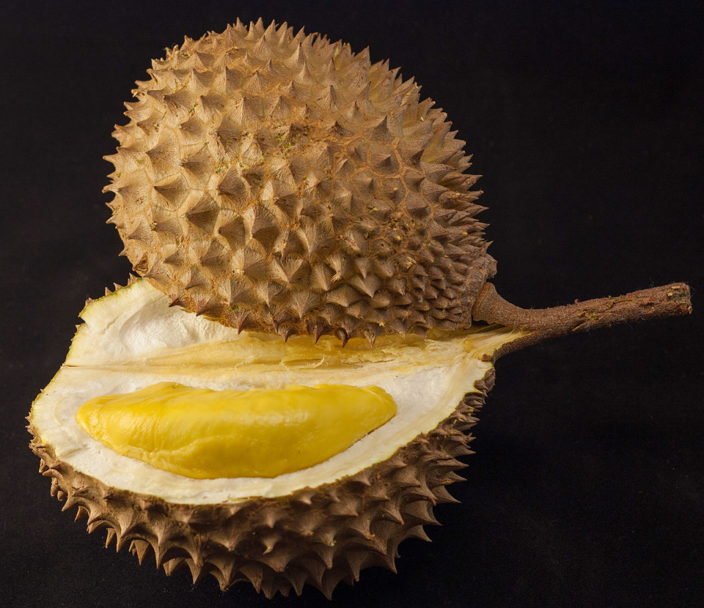 Durian_in_black