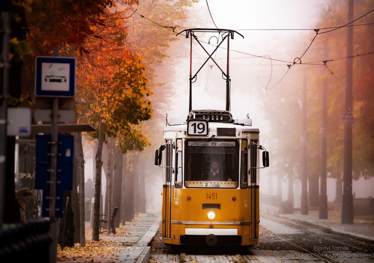 Gyönyörű fotók az ősz színeiben pompázó Budapestről