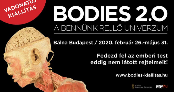 Újra Magyarországon a nagy sikerű kiállítás – Jön a Bodies 2.0!