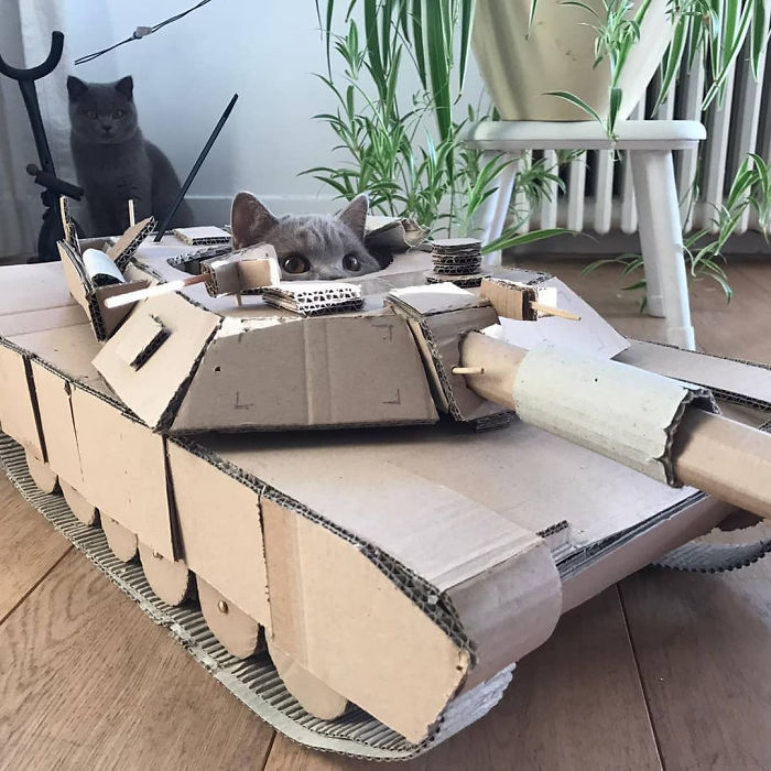 quarantined-owners-build-cardboard-cat-tanks-5eaa804583ccb-png__700