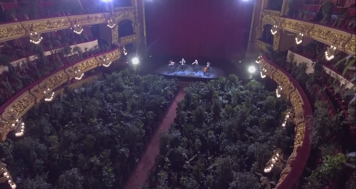 Növényeknek adtak koncertet Barcelonában